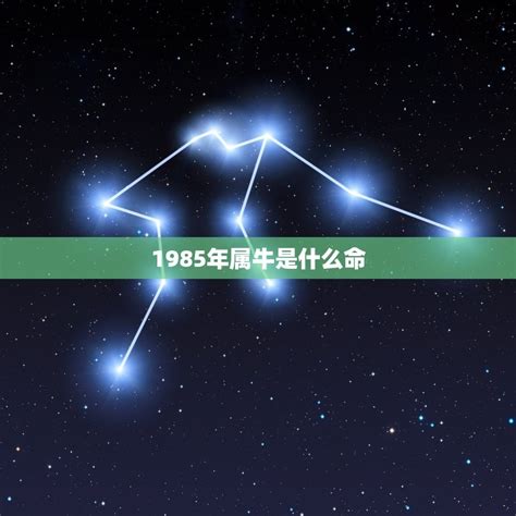 1985年是什么星座